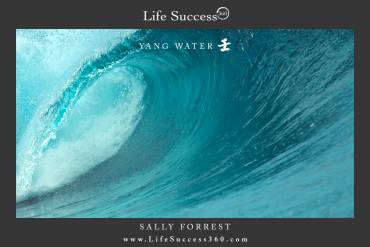Enjoy discovering the qualities of Yang Water, one of the 10 Elements