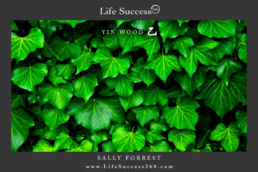Enjoy discovering the qualities of Yin Wood, one of the 10 Elements.