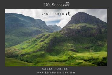Enjoy discovering the qualities of Yang Earth, one of the 10 Elements