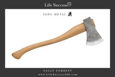 Enjoy discovering the qualities of Yang Metal, one of the 10 Elements