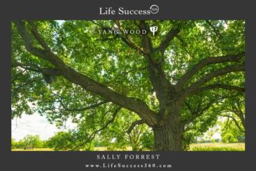 Enjoy discovering the qualities of Yang Wood, one of the 10 Elements