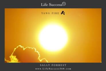Enjoy discovering the qualities of Yang Fire, one of the 10 Elements