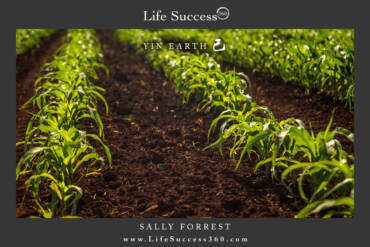Enjoy discovering the qualities of Yin Earth , one of the 10 Elements.
